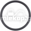 001.05.0047 O RING