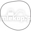 001.05.1352 O RING