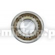 005.06.2454 ROLLER BEARING