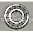 005.06.4274 BEARING