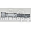 016.04.0427 CYLINDER BOLT