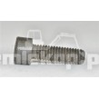 070HM290-1 SOCKET HEAD CAP SCREW M6