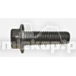 070HM301-1 HEX BOLT