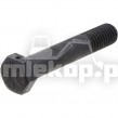 106880 RING GEAR SCREW