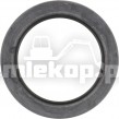 111726 OIL SEAL