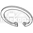 11863567170002250 SNAP RING