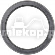 123779 OIL SEAL