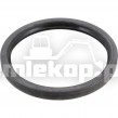 124065 OIL SEAL
