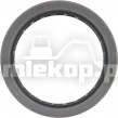 124234 OIL SEAL
