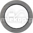 124429 OIL SEAL