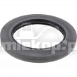 124431 OIL SEAL
