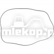 2106603 RING-SEAL