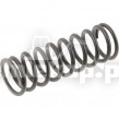 2110752 SPRING