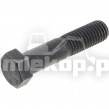 2114597 SCREW