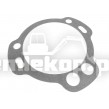 215164 GASKET