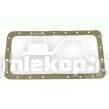 217221 GASKET