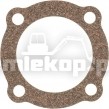 217741 GASKET