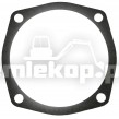 231054 GASKET