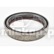 231898 OIL SEAL