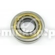 233538 BEARING