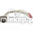 241801 RECEP & WIRE ASSY.