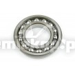 243252 BALL BEARING