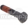 243970 CAP SCREW