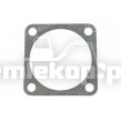 244094 BRG CAP GASKET