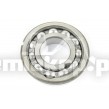 244587 BEARING