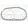 244787 GASKET