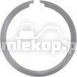 246760 SNAP RING