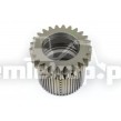 248206 GEAR