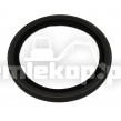248794 OIL SEAL
