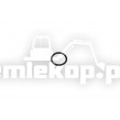 250156 ORING