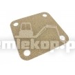 3614625 GASKET