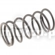 4202430 SPRING PISTON
