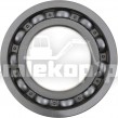 4206501 BEARING