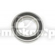 4207668 BALL BEARING