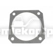 4209619 GASKET