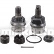 706116X Socket Assy.