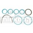 755.24.450.05 CYLINDER SEALS KIT