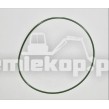 76K263 O RING