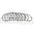 802313 SNAP RING SET