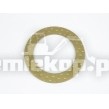 819.04.011.01 FRICTION WASHER