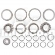 842341 KIT BEARING-REBUILD