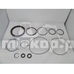 AM1W2M0004 A/M SEAL KIT(W2M,GR+MOTOR)