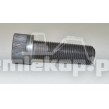 ML6416/50X SCREW M16