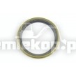 R3185/187 OIL SEAL