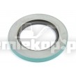R3960/187 OIL SEAL