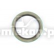 R3962/187 OIL SEAL